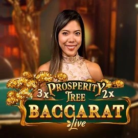 Play the Prosperity Tree Baccarat slot by Evolution on Sankra Casino