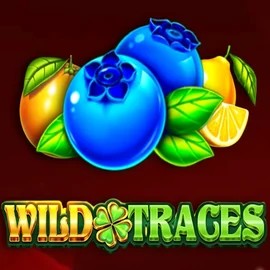 Wild Traces – slot by Amusnet Interactive, featured at sankra.eu.com
